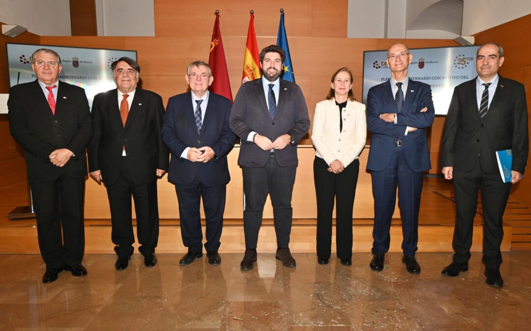 10. Pleno conmemorativo 25 Aniversario