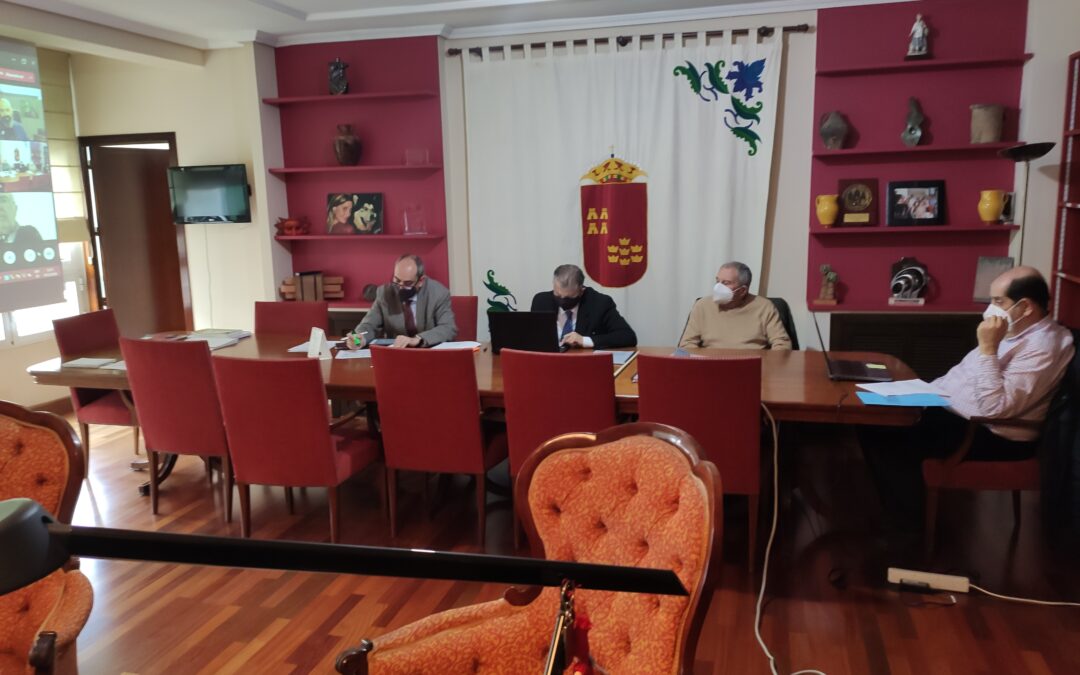 Pleno telemático CERM 10 diciembre 2020