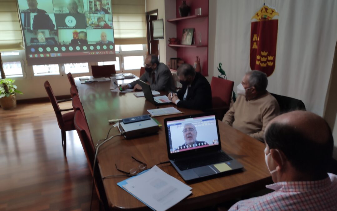 Pleno telemático CERM 10 diciembre 2020
