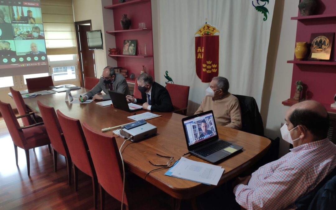 Pleno telemático CERM 10 diciembre 2020