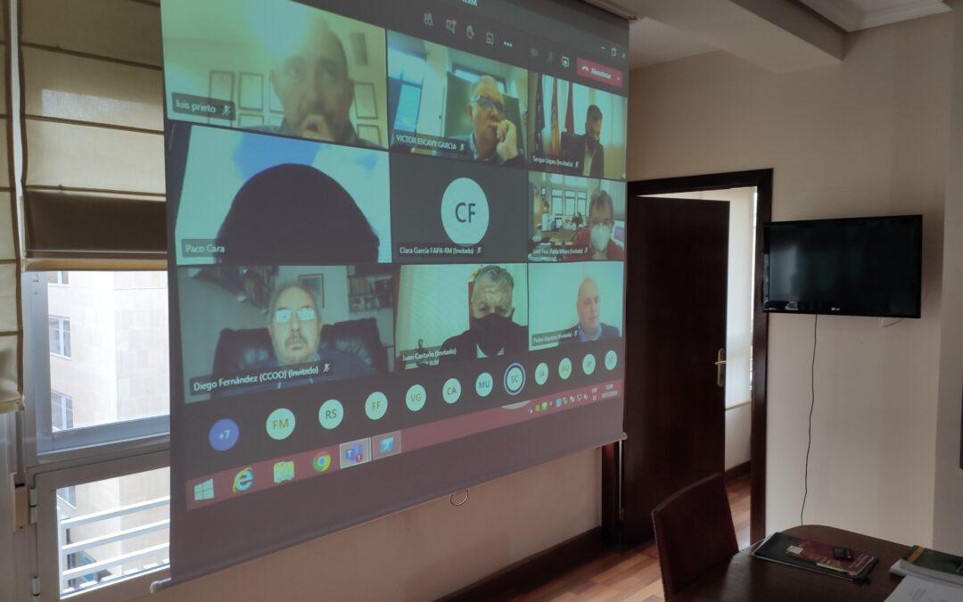 Pleno telemático CERM 10 diciembre 2020