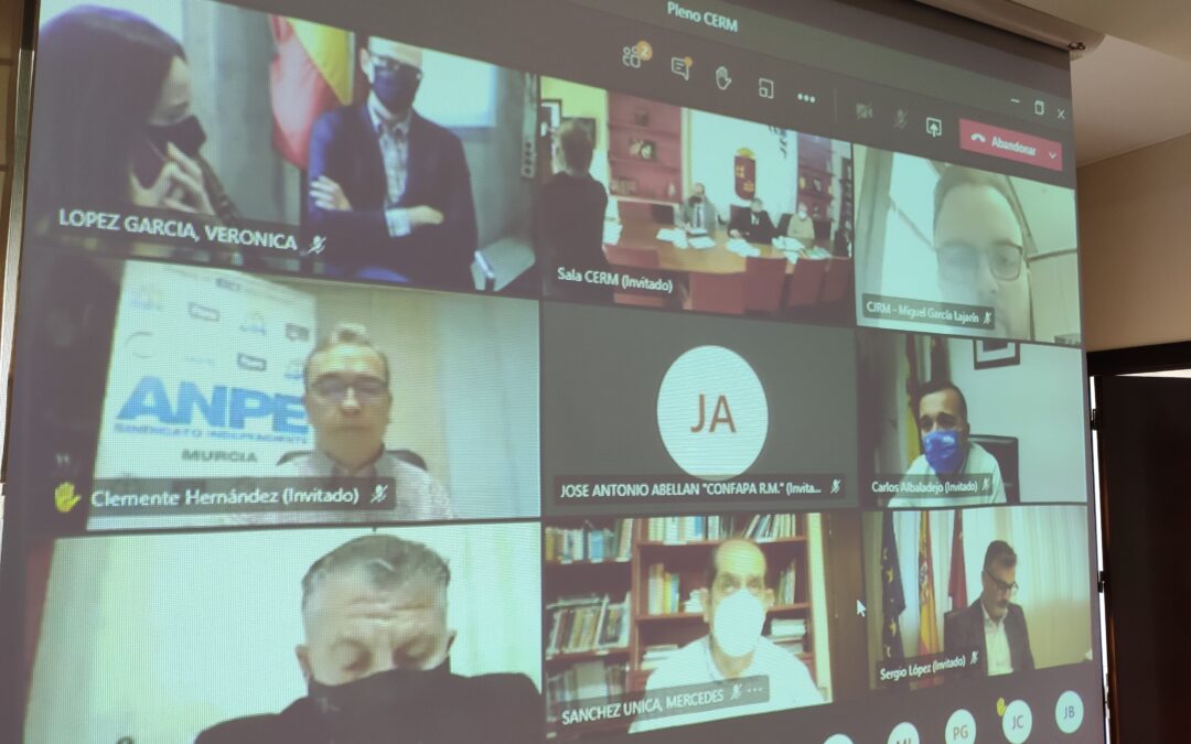 Pleno telemático CERM 10 diciembre 2020