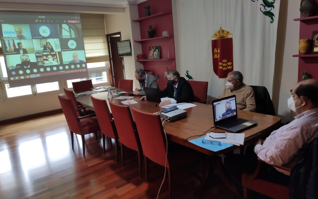 Pleno telemático CERM 10 diciembre 2020