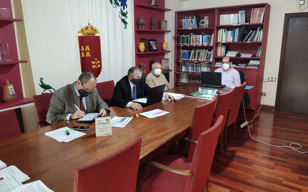 Pleno telemático CERM 10 diciembre 2020