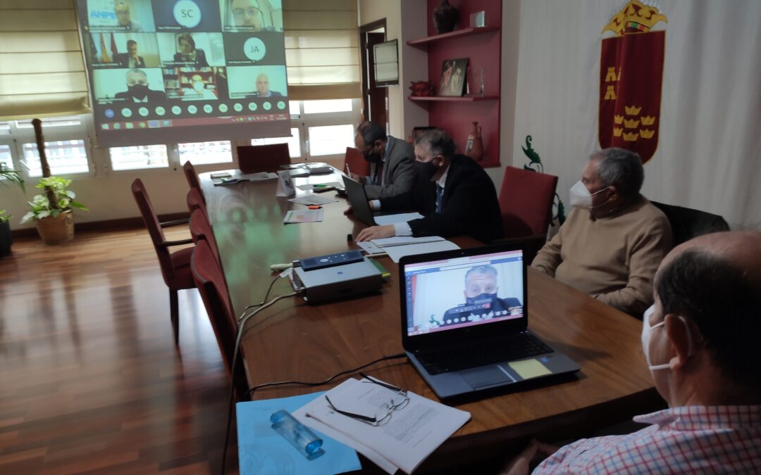 Pleno telemático CERM 10 diciembre 2020