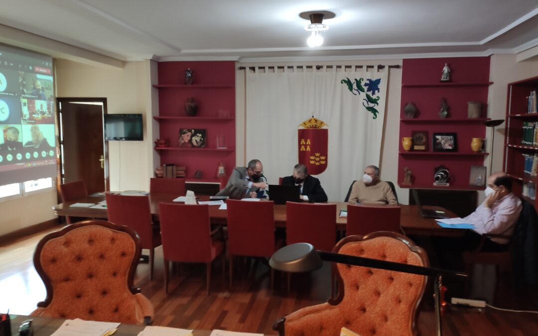 Pleno telemático CERM 10 diciembre 2020