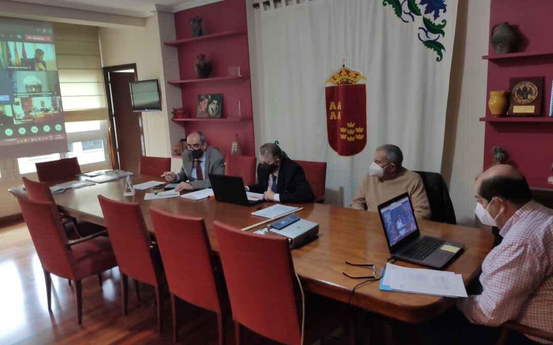 Pleno telemático CERM 10 diciembre 2020