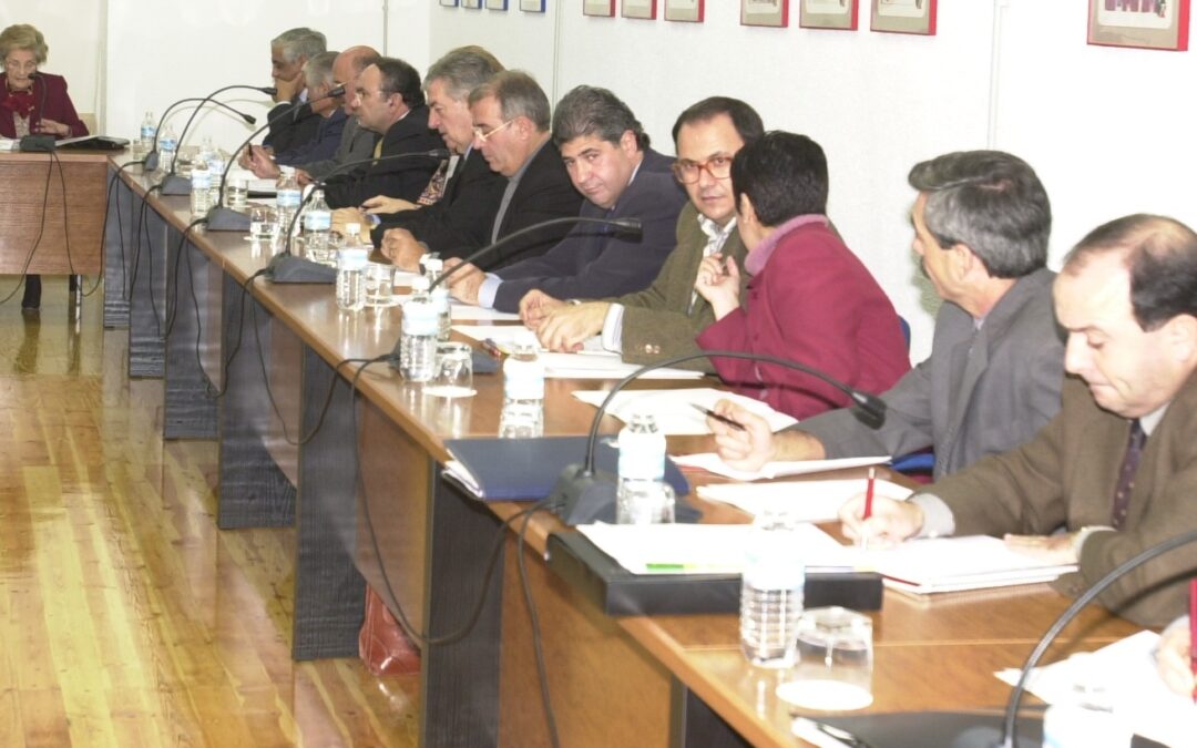 21. Primier Pleno Año 2000
