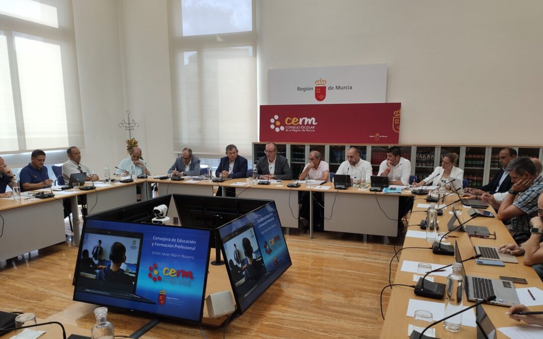 22. Pleno 22 07 2024