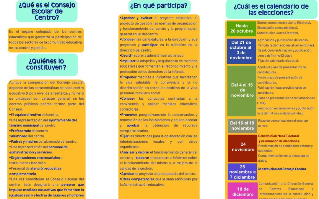 Triptico Elecciones Consejos Escolares publicos