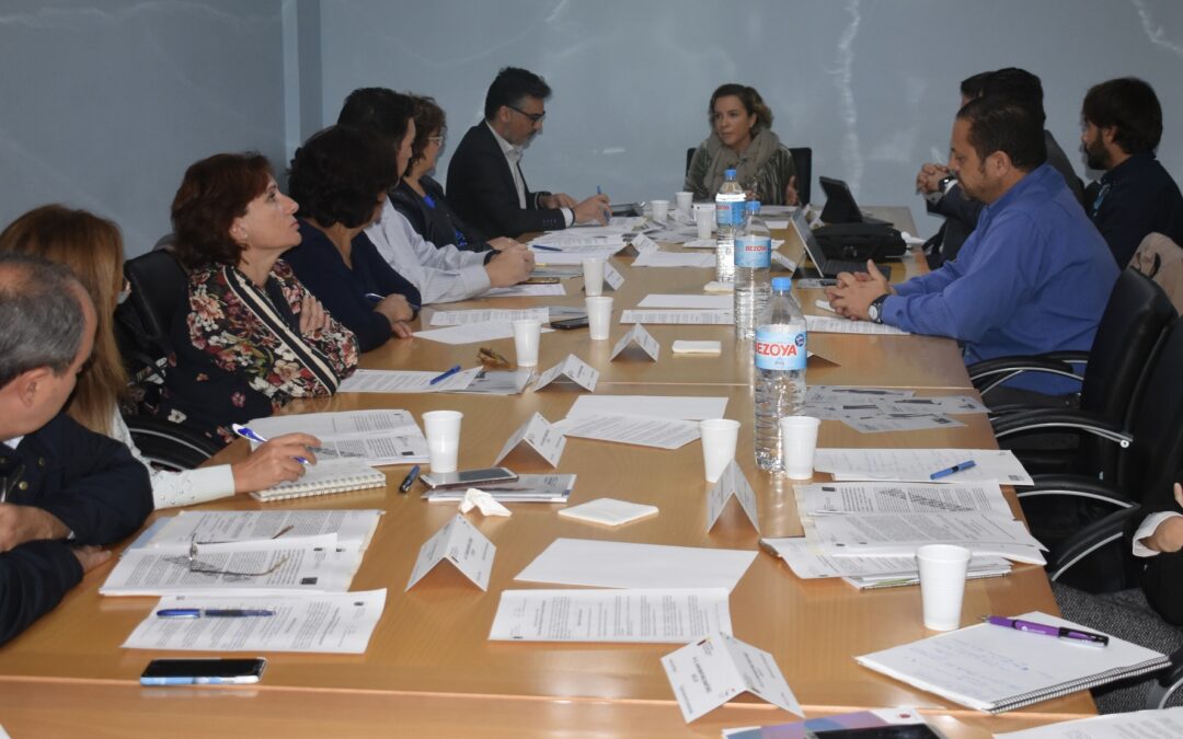 pleno consejo asesor fp